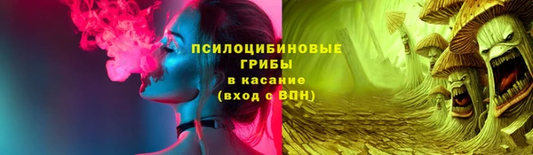 прущая мука Богородицк